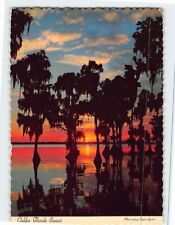 Postcard Golden Florida Sunset Florida USA picture