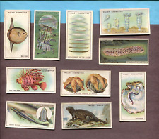 1928 W.D. & H.O. WILL'S CIGARETTES WONDERS OF THE SEA 10 TOBACCO CARD LOT picture