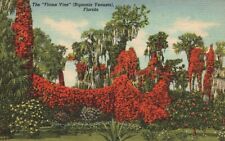 Postcard FL Florida 