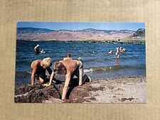 Postcard Washington Lake Osoyoos State Park Sandy Beach Children picture