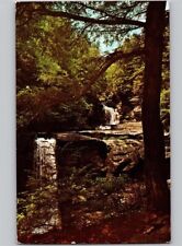 c1960 Sawkill Falls Milford Pocono Mountains Pennsylvania PA Postcard picture