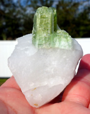 GREEN Tourmaline in Clear Quartz Crystal Specimen origin is BRAZIL WT5 picture