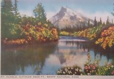 Banff Canada Postcard Early 1900s Rare Mt. Rundle Lake  picture