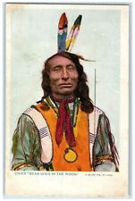 c1905's Chief Bear Goes In The Wood Handcolored Scene Unposted Vintage Postcard picture
