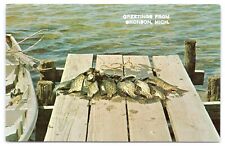 Greetings From Bronson Michigan Vintage Branch County MI Postcard Fish On Dock picture