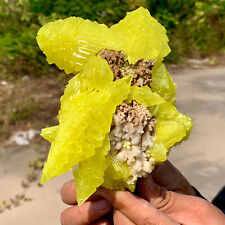 1.36LB Mineral * * yellow  single Sulfur on the Sicily Matrix - Free picture