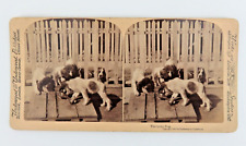 The Lucky Dog Underwood and Underwood 1900 Stereoscopic Card picture
