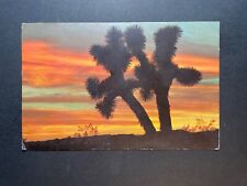 Arizona AZ Postcard Sunset on the Desert Posted 1966 picture