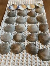 Clam Shells Lot Of 12, cleaned and boiled, 2.5+”, Great For Crafts/Oven picture