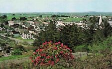 Birds Eye View Ferndale Humboldt County California 1950's Vintage Postcard picture