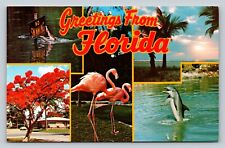 Florida's Many Attractions: Sunshine, Beauty, & Fun Vintage Postcard 0928 picture