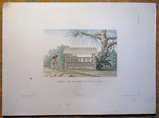 1826 Bertrand Duperrey Engraving TOMBEAU PRES NOUVELLE-GUINEE Papua NEW GUINEA picture