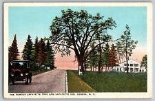 Geneva, New York - Famous Lafayette Tree and Inn - Vintage Postcard - Unposted picture
