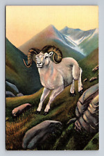 c1932 Linen Postcard Juneau Alaska Alaskan White Mountain Sheep CT Colortone picture