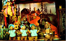 Country Bear jamboree Waly Disney world vintage postcard a66 picture