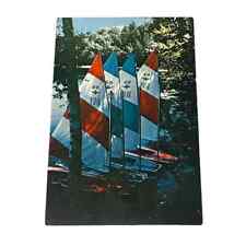 Postcard Part of the Sailboat Fleet Camp Norwesco New Auburn Wisconsin A210 picture