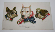 WWI Era Postcard w/French, American & English Bulldogs, unposted picture