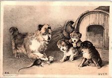 1880s ALLENTOWN G.C DOG CATCHING RAT ASCHBACH ORGANS & PIANOS TRADE CARD 41-150 picture