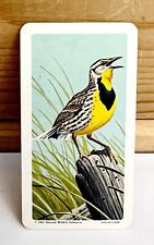 Vintage Songbird Trading Card Western Meadowlark 1966 S9N33 Brooke Bond Tea Co picture