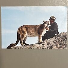 Vintage Postcard Ernest's Taxidermy & Gifts Shop Home of Tame Mountain Lion picture