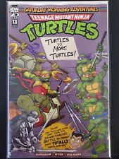 Teenage Mutant Ninja Turtles Saturday Morning Adventures #13 A IDW 2024 VF/NM picture