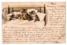 PC92 France Paris French Kittens in Bed Cat Kitten Feline Postcard picture