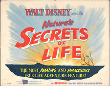 WALT DISNEY presents NATURE'S SECRETS OF LIFE original 1956 movie poster picture