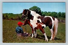 Child With Mare And Colt, Vintage Postcard picture