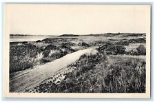 c1920s The Polpis Road Scene Nantucket Island Massachusetts MA Unposted Postcard picture