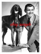 CLARK GABLE CANDID PHOTO - With his pet dog Irish Setter, Circa 1941 picture