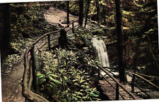Caldeno Falls Delaware Water Gap PA Divided Postcard c1910 picture