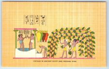 Vintage in Ancient EGYPT & Pressing Wine Lehnert & Landrock Postcard picture