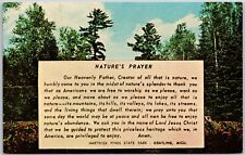 Nature's Prayer Hartwick Pines State Grayling Michigan Vintage Postcard picture