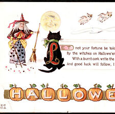 Halloween Witch Fortune Reading Card 1915 Nash H17 Pumpkin Cat Owl Moon PostCard picture