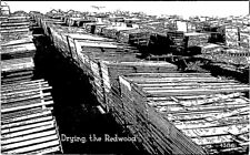 Post Card Drying The Redwood Lumber Yard Black & White Divided Back Card picture
