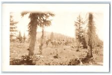 c1930s Candid Horse Cowboys Rocky Mt. Studio Encampment WY RPPC Photo Postcard picture