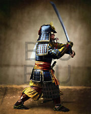 Japanese Samurai  11 x 14