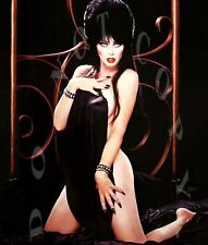 Smokin Hot Elvira Mistress of the Dark Reprinted 8x10 Photograph # 2 picture