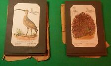 VINTAGE LOUIS PRANG CARD SET (2) WADING BIRDS SERIES & GALLINACEOUS BIRDS picture