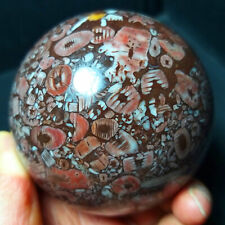 TOP 732G Natural Colorful Agate And Shell Symbiotic Crystal Ball Healing B413 picture