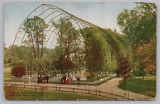 Postcard New York City NY Zoological Park The Flying Cage Unposted picture