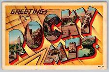 Greetings from The Rocky Mtns Mountains Postcard - C8 picture