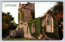 Vintage Postcard Muckross Abbey From S Killarney Valentines Post Card picture
