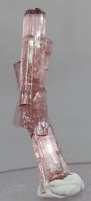 Beautiful Pink Tourmaline Crystal Cluster Bunch Shape from Afghanistan picture