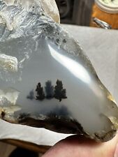 Montana moss agate With Window polished In Face Of It, 1 Pound 5 Oz picture