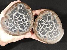 Lighting Like Pattern BIG Split and Polished SEPTARIAN Nodule with Stands 670gr picture