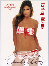 2003 BENCHWARMER CARLEY ADAMS AUTOGRAPH picture