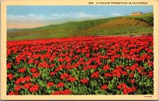 CA Field Red Poinsettias 1931 Home on Hill Landscape Linen Teich Postcard UNP picture