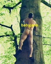 114 ROBBIE WILLIAMS SINGER CLIMBS TREE REAR VIEW PHOTO picture