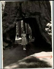 YOSEMITE PARK VALLEY TOURIST ANSEL ADAMS STYLE VINTAGE 1930s ORIG PHOTO 423 picture